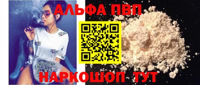 гашик Кингисепп