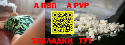 гашик Кингисепп