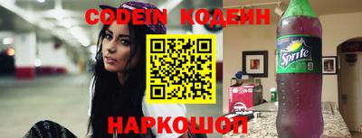 гашик Кингисепп