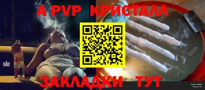 гашик Кингисепп