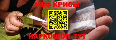 гашик Кингисепп
