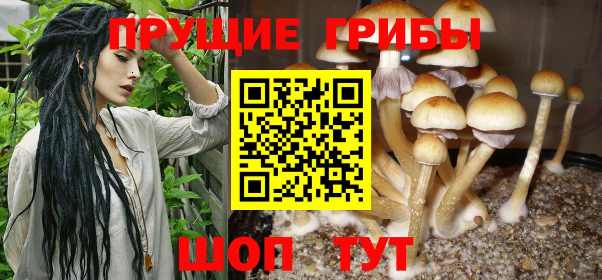 Галлюциногенные грибы ЛСД Ликино-Дулёво